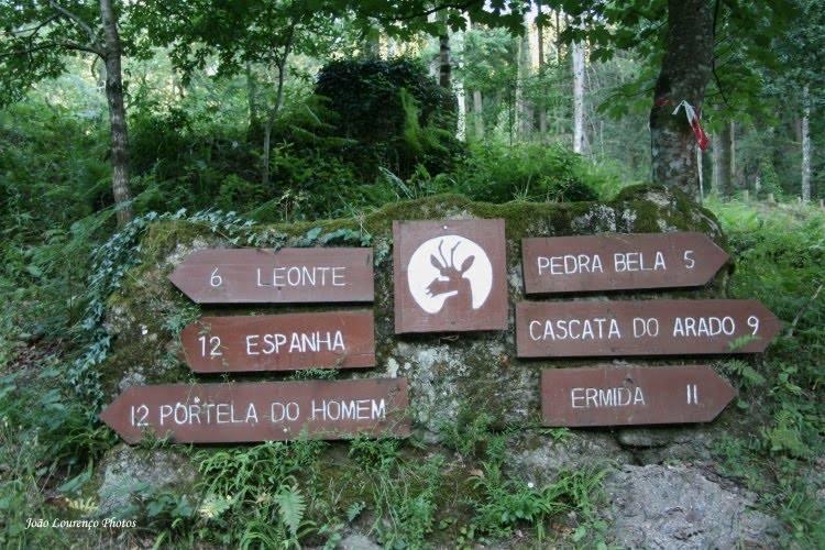 Casa Vilar Holiday home